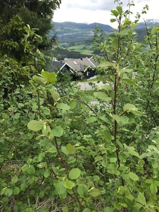 Voss - Flott Hytte I Bavallen Skulestadmo Екстер'єр фото
